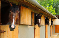 free Pride Park stable construction quotes